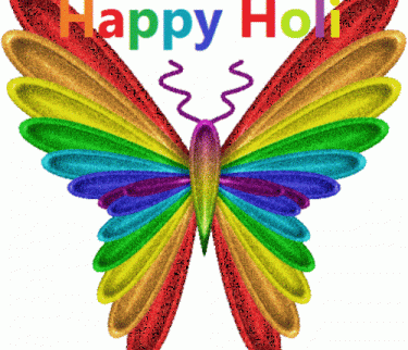 Happy-Holi-Colorful-Butterfly-Picture